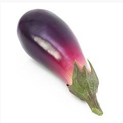 Aubergine