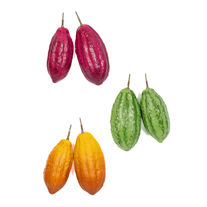 Fruit du cacao