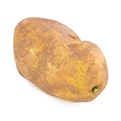 Pomme de terre