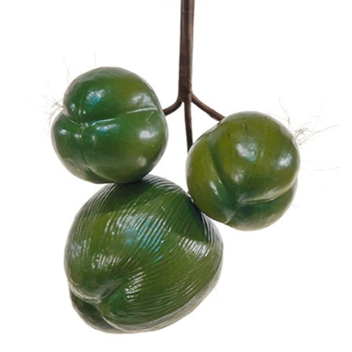 Noix de coco