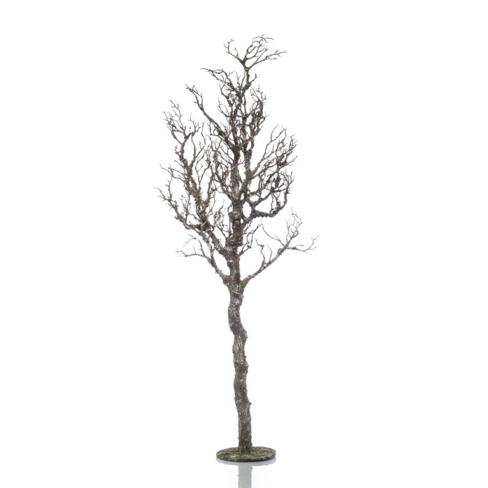 Manzanita