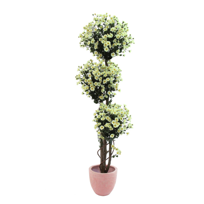 Arbre à marguerites