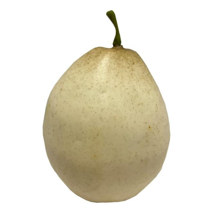 Poire Nashi