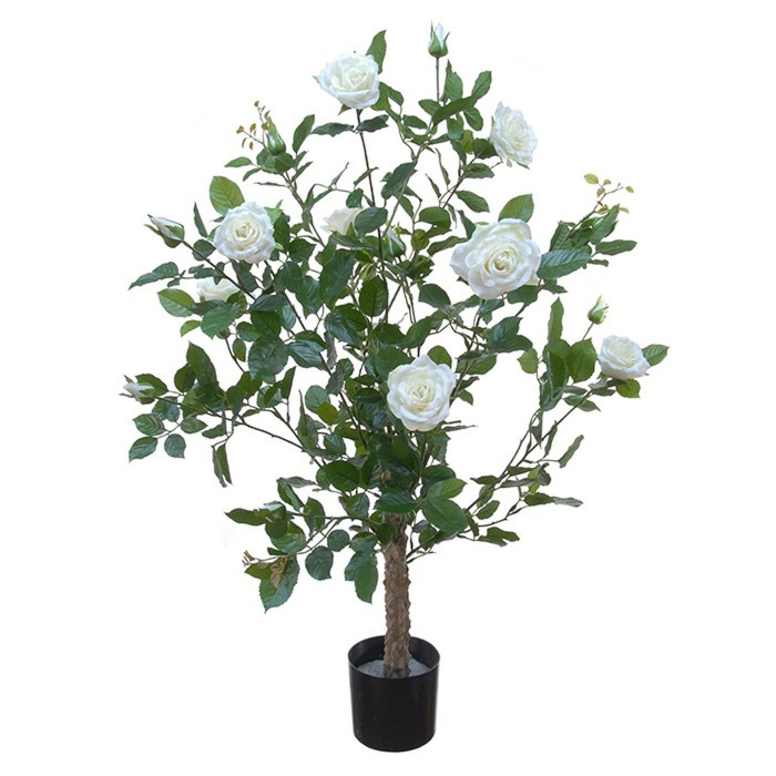 Rosiers