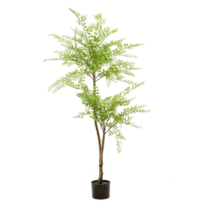 Schnurbaum