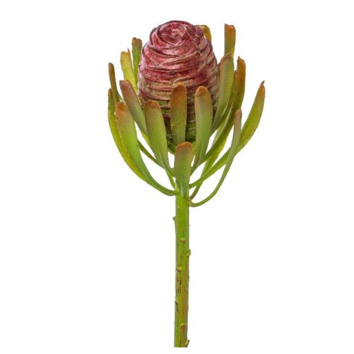 Silberbaum