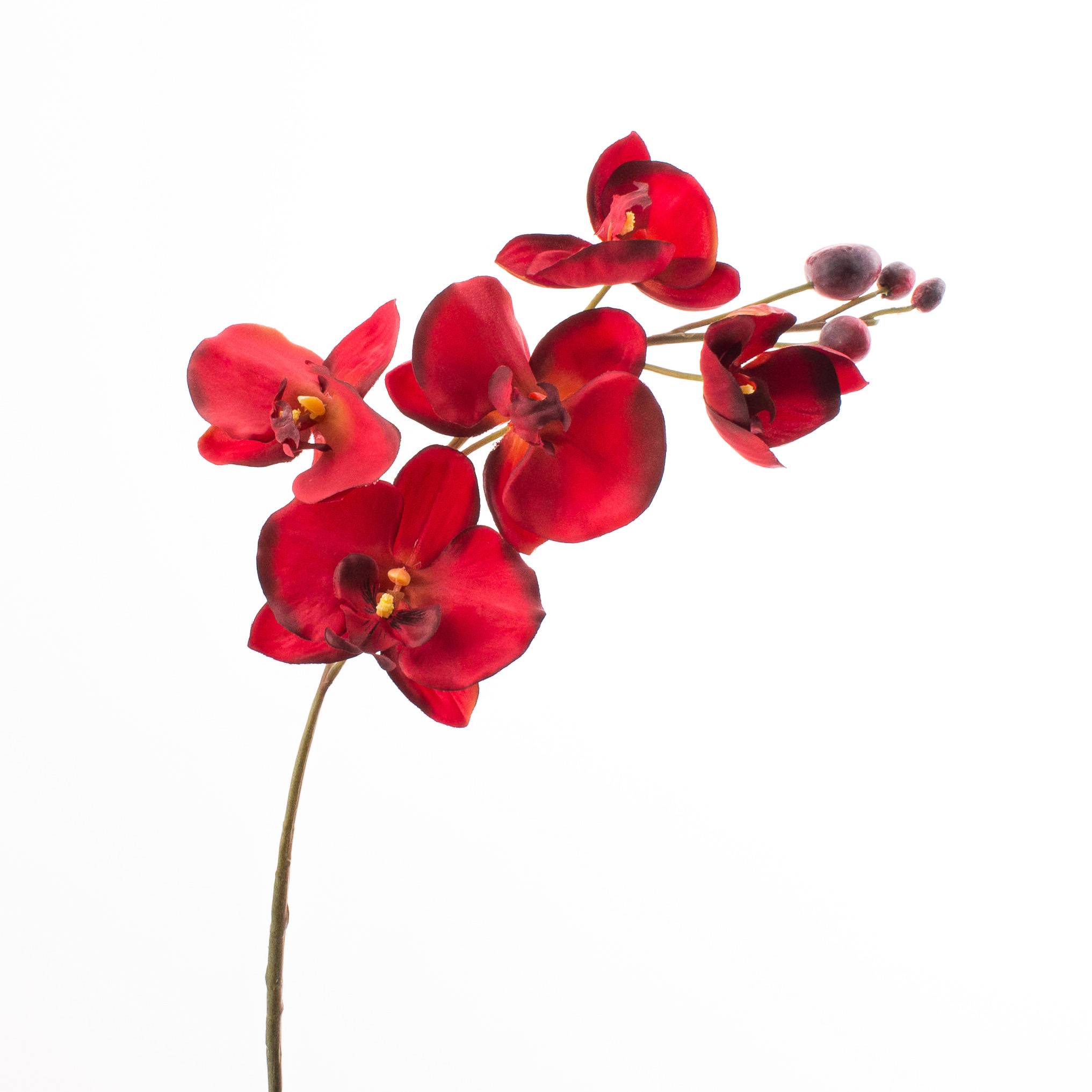Acheter des Tige d'orchidée Phalaenopsis en soie TAMIA, rouge, 80cm,  Ø7-10cm - Fausses fleurs