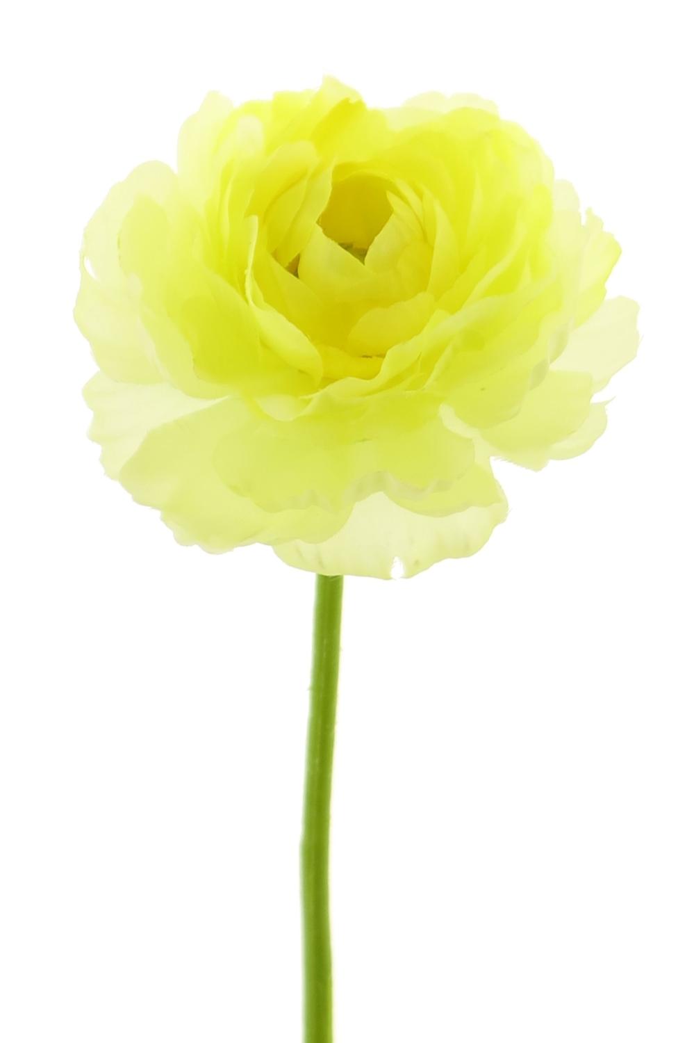 Acheter des Fleur artificielle renoncule XIAOLIN, jaune, 30cm