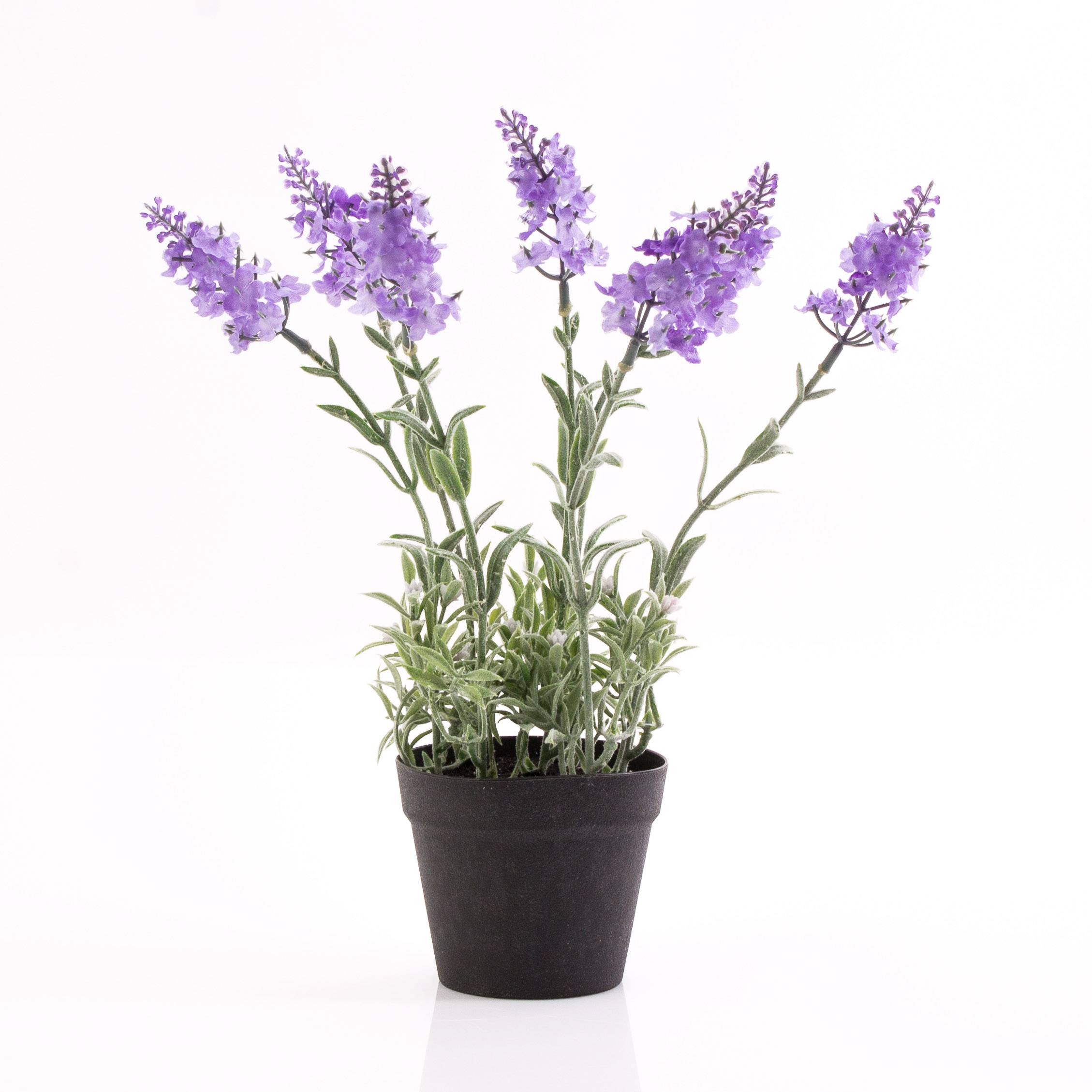 Acheter des Lavande artificielle LOUISE, pot décoratif, violet clair, 30cm,  Ø3cm - Fausses fleurs