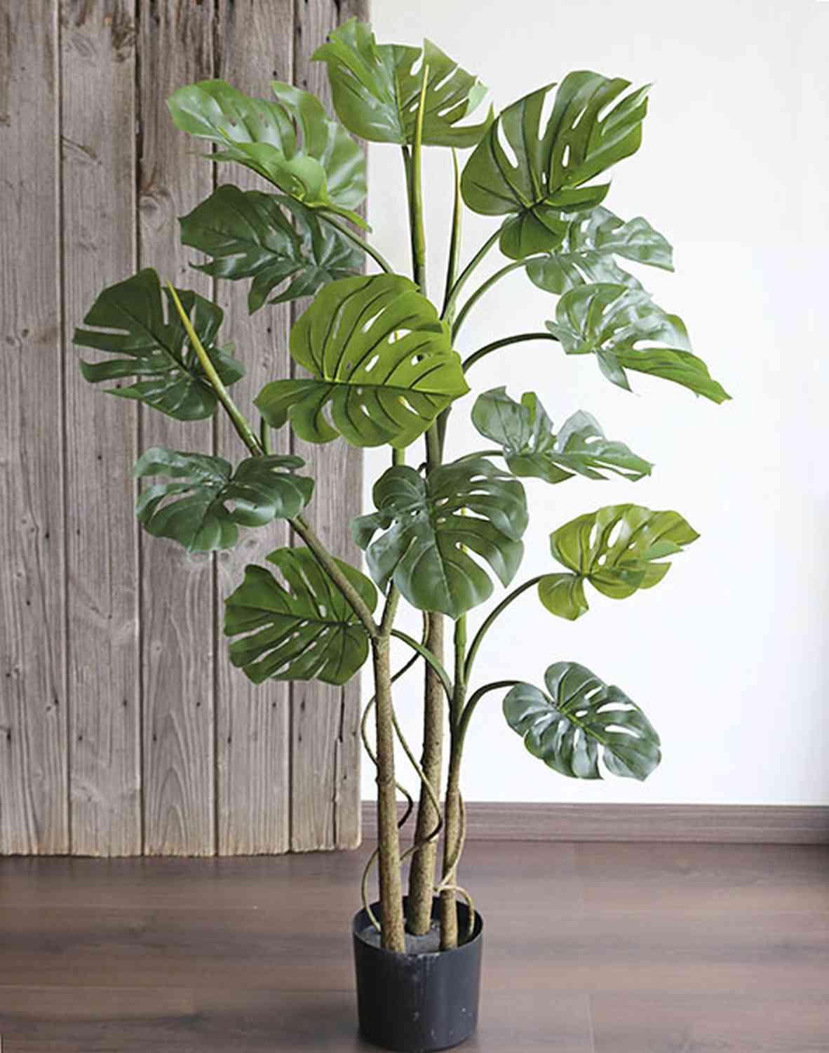 Plante artificielle Monstera Deliciosa - Sol en soie - 120 cm de haut -  Décoration d'intérieur ou d'extérieur : : Cuisine et Maison