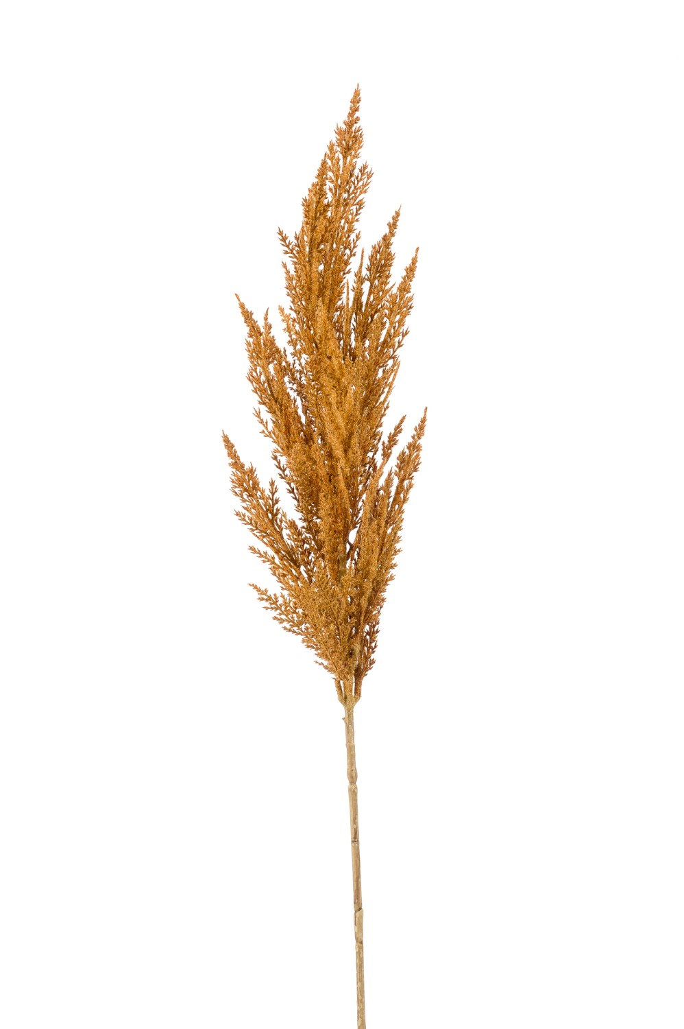 Acheter des Branche artificielle Panicule d'herbe de la pampa BATERNO,  orange, 90cm