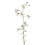 Campanule en soie GISELA, blanc, 65cm, Ø1-4cm