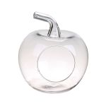 Terrarium pour plantes en verre TISOA en forme de pomme, transparent, 21cm, Ø19cm