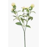 Branche artificielle d'amarante boule DREWON, crème, 65 cm, Ø 2-3 cm