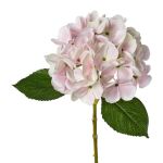 Fleur artificielle Hortensia KLUVT, rose, 50cm