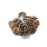 Pommes de pin à saupoudrer UMBRIELLE, naturel, 15 pièces