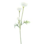 Branche décorative Renoncule TRITO, crème, 35cm