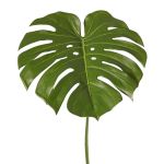Kunstpflanzen Blatt Monstera THALWIL, 60cm