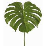 Feuille artificielle de Monstera THALWIL, 60cm