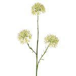 Branche décorative d'Allium ALIKIO, blanche, 65 cm, Ø 7 cm