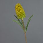 Banksia robur artificiel EREDIN, jaune, 70cm