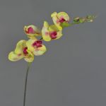 Tige d'orchidée en tissu DAJANA, jaune-fuchsia, 80cm, Ø6-11cm