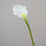 Arum artificiel PEPITA, blanc, 55cm, 7x11cm