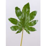Feuille d'aralia artificielle SALVATORE, vert, 70cm