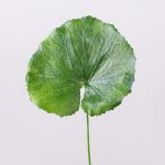 Feuille de géranium artificielle HEIDEGARD, vert, 38cm, Ø13cm