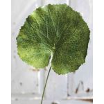 Feuille de géranium artificielle HEIDEGARD, vert, 38cm, Ø13cm