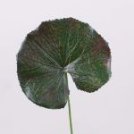 Feuille de géranium artificielle HEIDEGARD, vert-rouge, 38cm, Ø11cm