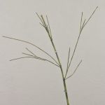 Branche de bambou artificielle HARUTO, 105cm