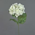 Hortensia en soie MONA, crème, 70cm, Ø16cm
