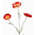 Deko Zweig Schmuckkörbchen BRALTO, orange, 80cm