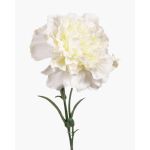 Faux œillet VANERA, blanc, 60cm, Ø8cm