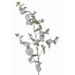 Branche d'eucalyptus artificielle ILMO, gris-vert, 85cm