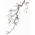 Branche de noisetier artificielle XANCHO, chatons, brun, 65cm, Ø0,5cm