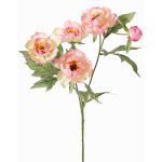 Branche artificielle de pivoine LARDUAN, collection Eco, rose-blanc, 60cm, Ø7cm