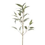 Branche d'eucalyptus en tissu JURKA avec des fruits, vert-gris, 90cm