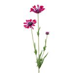 Branche décorative Marguerite NIELAY, rouge bourgogne, 65cm