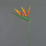 Strelitzia artificiel ALLISSA, orange-violet, 90cm, 17x24cm