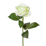 Fleur artificielle Rose ETAVOL, vert clair-blanc, 55cm, Ø8,5cm