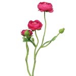 Fleur artificielle renoncule JIXIANG, fuchsia, 50cm