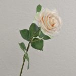 Rose artificielle KAILIN, crème-rose, 65cm