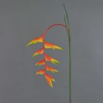 Fleur décorative Heliconia MEIHUA, orange, 95cm