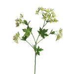 Branche décorative Euphorbia marginata MENGWEN, fleurs, crème-vert, 65cm