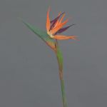 Fleur décorative Strelitzia WEIYU, orange-violet, 60cm