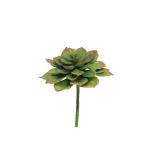 Plante en plastique Echeveria morani XINYA sur piquet, vert-rouge, 17cm