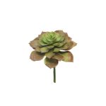 Plante en plastique Echeveria morani XINYA sur piquet, rouge-vert, 17cm