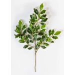 Branche de ficus synthétique AJITH, vert-blanc, 45cm